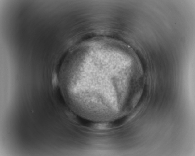 X0000094200089200711091227