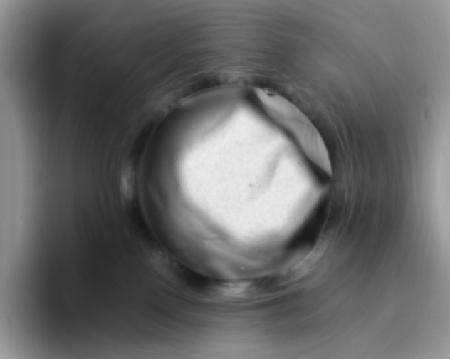 X0000094200090200711091227