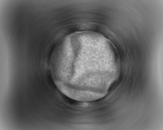 X0000094200091200711091227