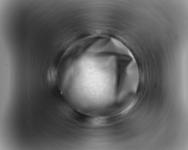 X0000094200094200711091227