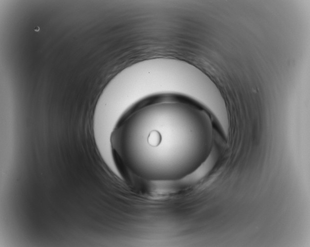 X0000094200096200711091227