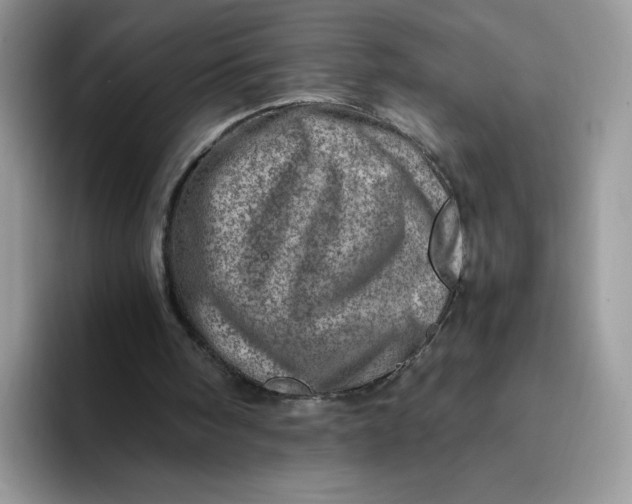 X0000094200098200711091226