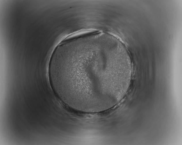 X0000094200099200711091226