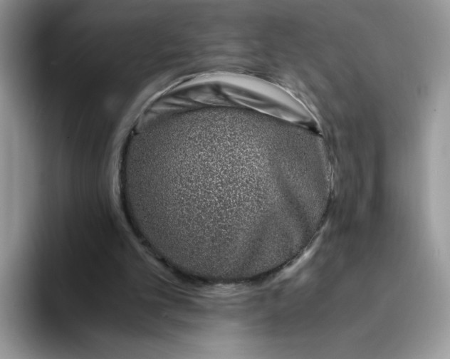 X0000094200101200711091226