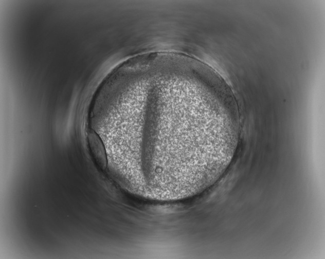 X0000094200103200711091226