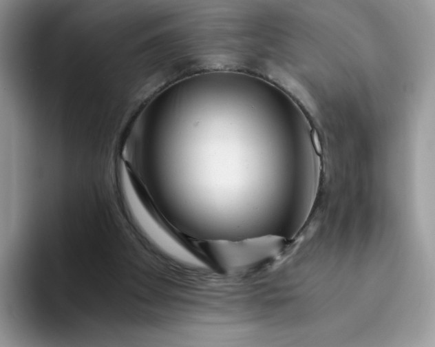 X0000094200105200711091226