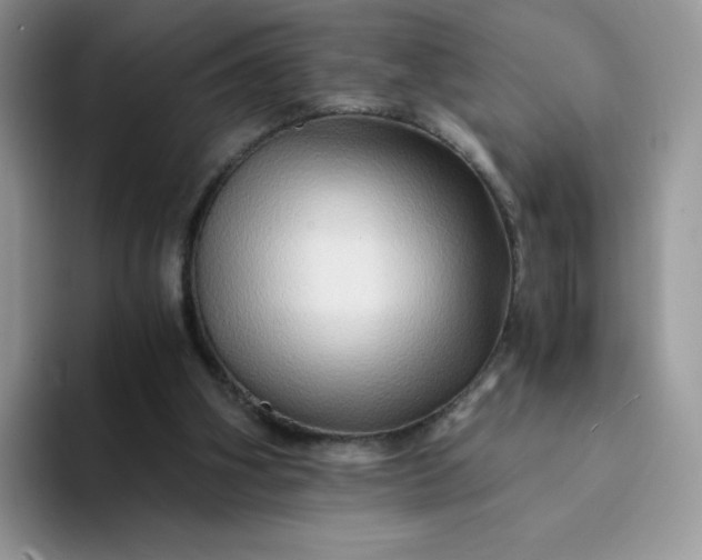 X0000094200106200711091226