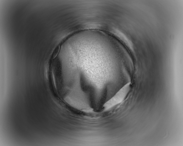 X0000094200107200711091226