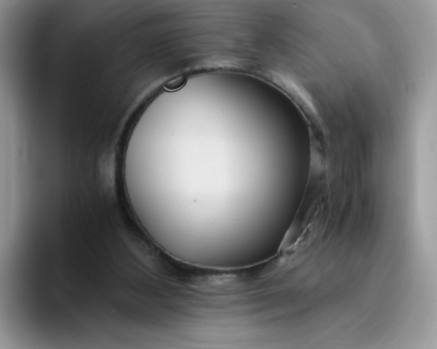 X0000094200108200711091226