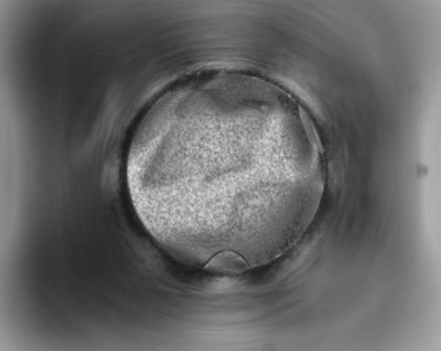 X0000094200111200711091226