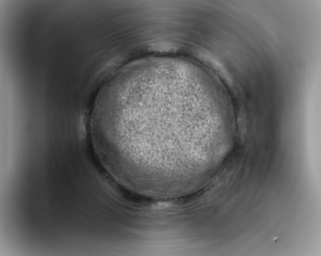 X0000094200114200711091226