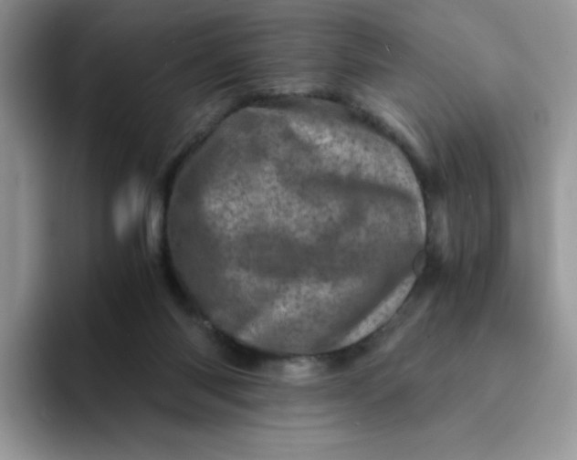 X0000094200118200711091226