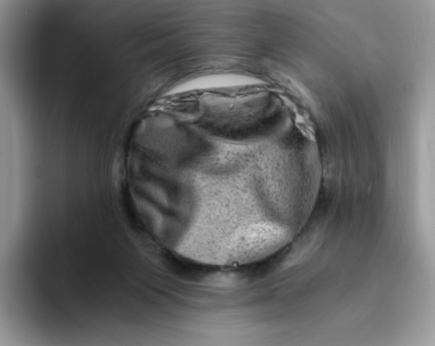 X0000094200119200711091226