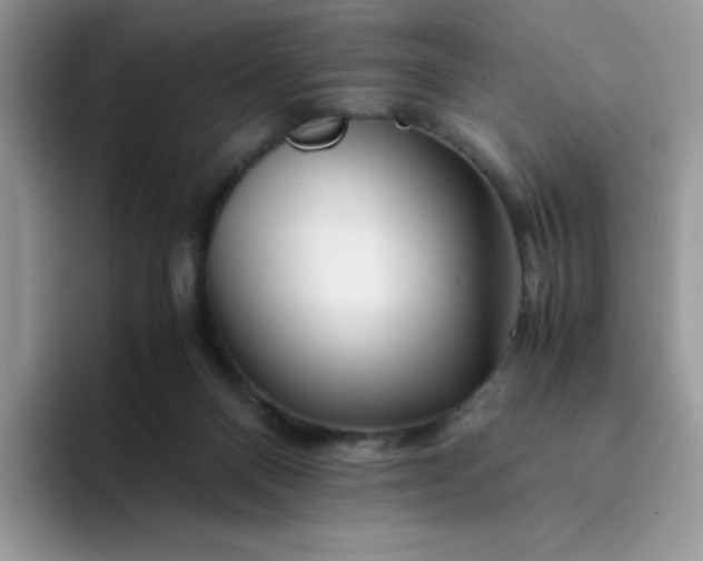 X0000094200120200711091226