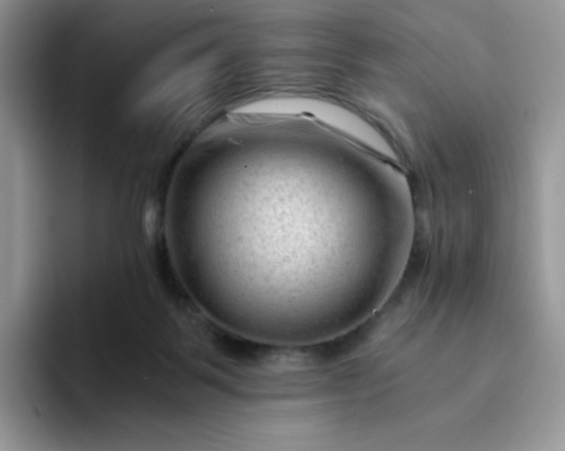 X0000094200123200711091226