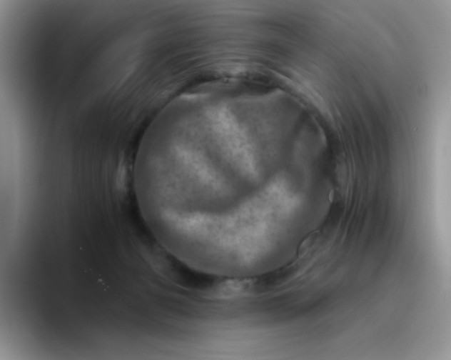 X0000094200126200711091226