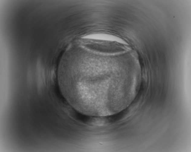 X0000094200127200711091226