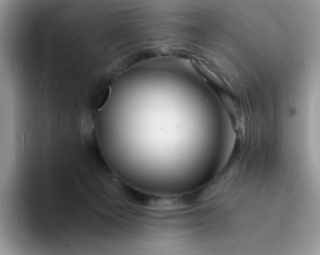 X0000094200129200711091226