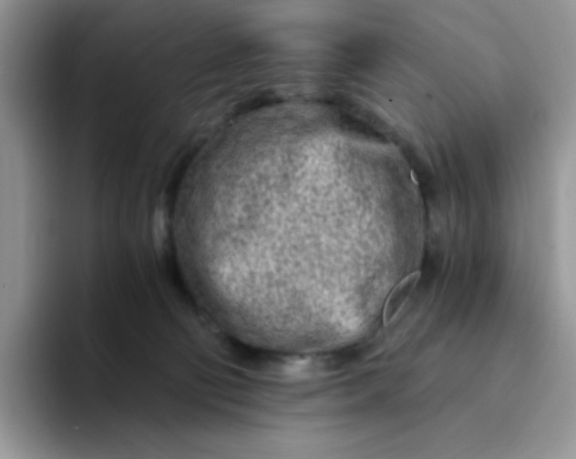 X0000094200130200711091226