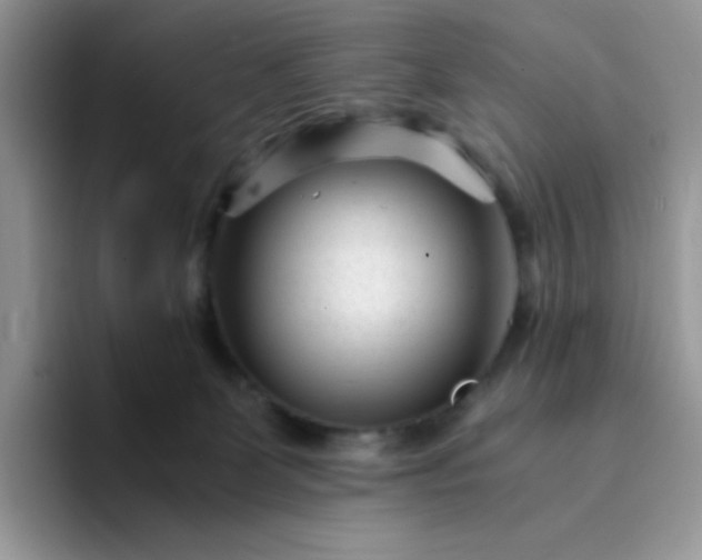 X0000094200131200711091226