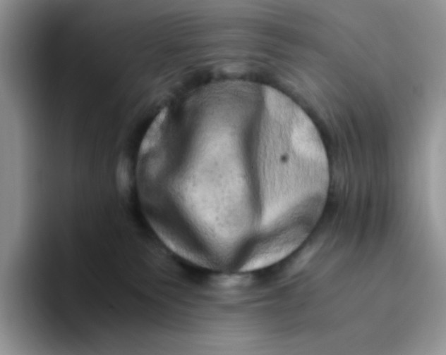 X0000094200135200711091226