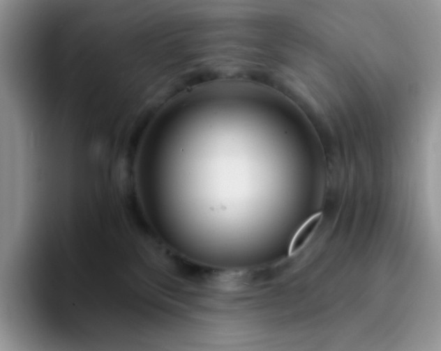 X0000094200136200711091226