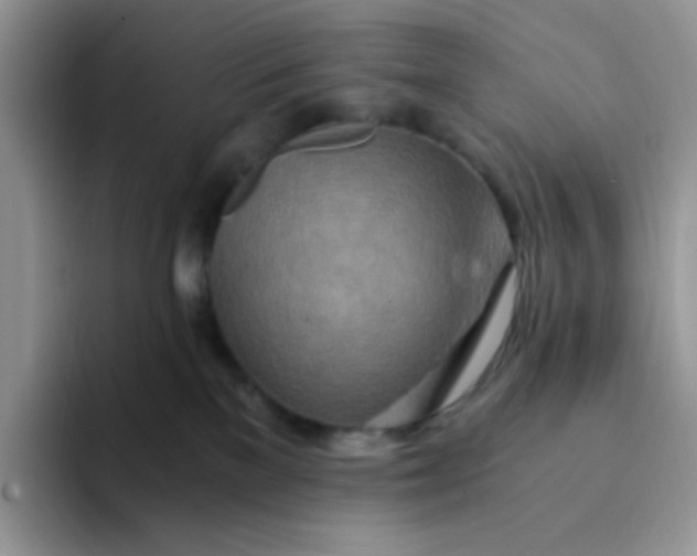 X0000094200137200711091226