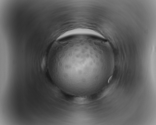 X0000094200139200711091226