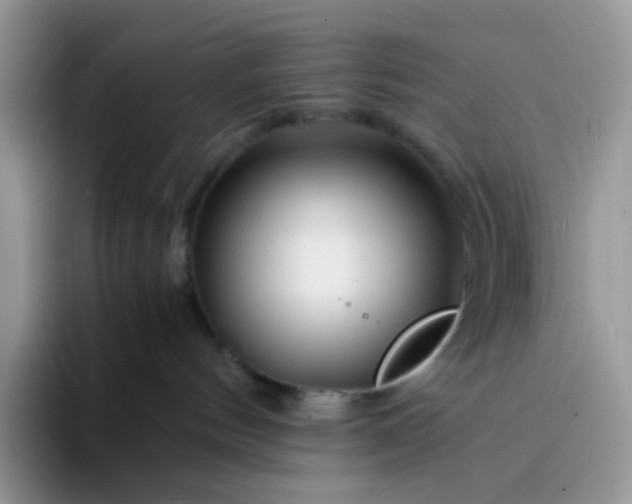 X0000094200144200711091226