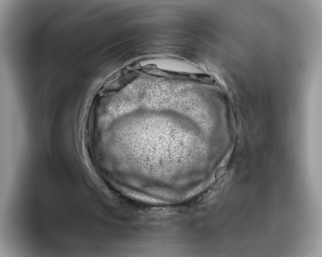 X0000094200145200711091225