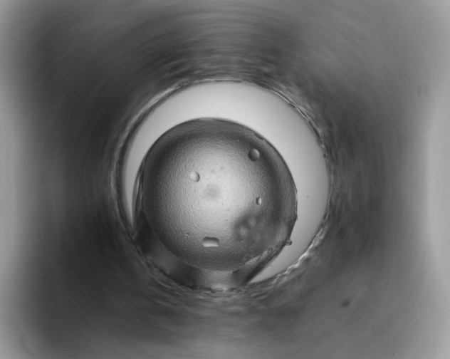 X0000094200146200711091225