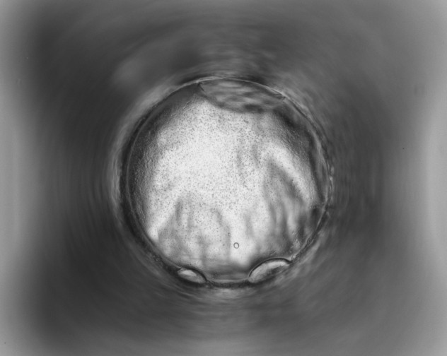 X0000094200149200711091225