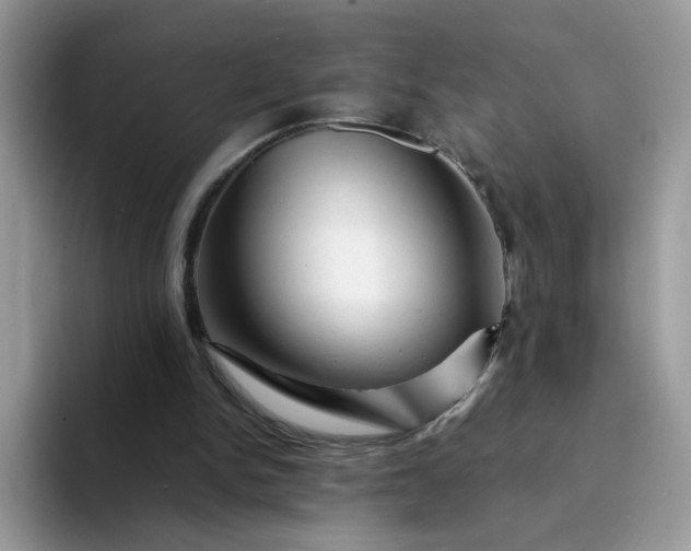 X0000094200150200711091225