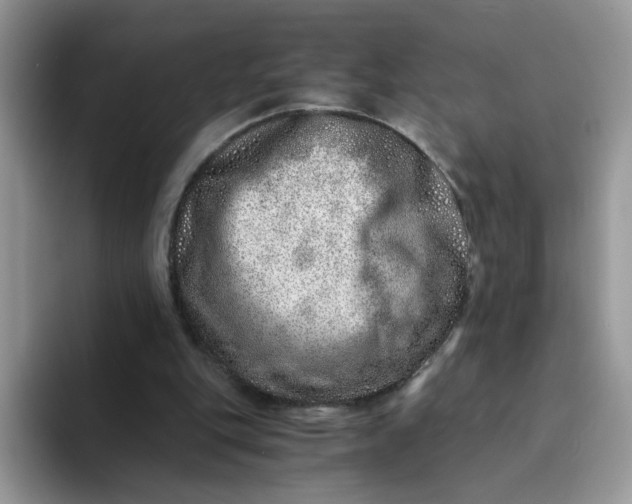 X0000094200151200711091225