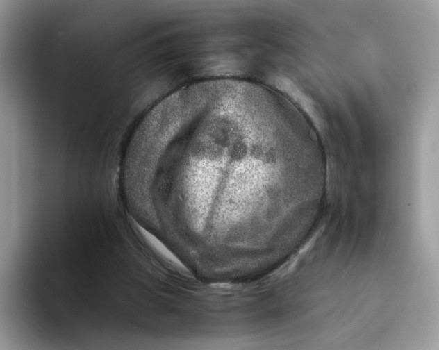 X0000094200153200711091225