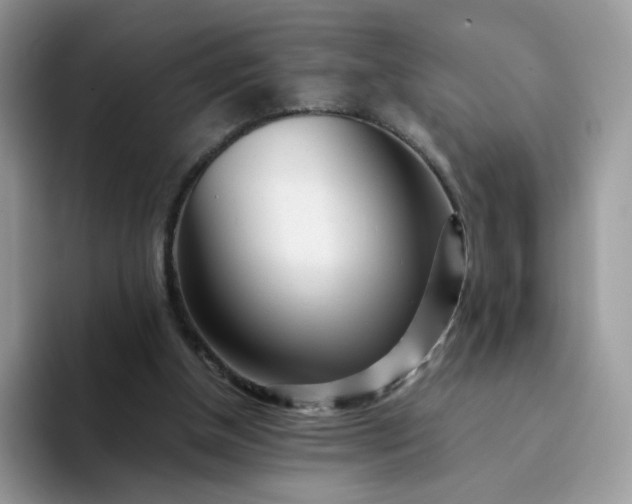 X0000094200154200711091225