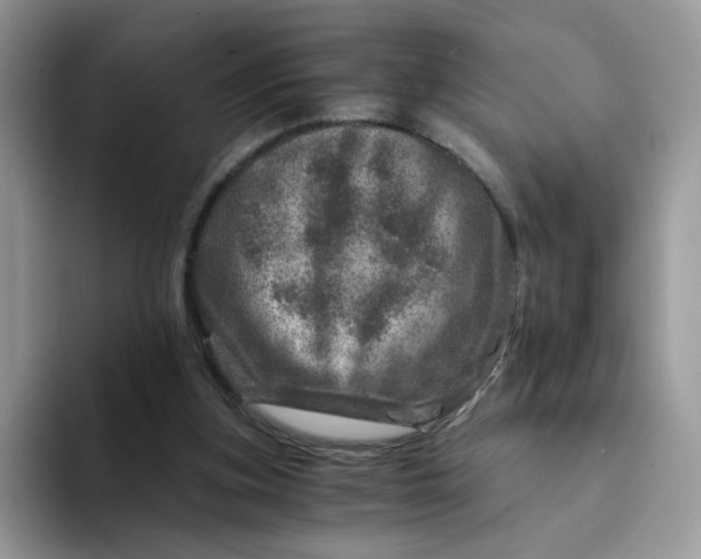 X0000094200155200711091225