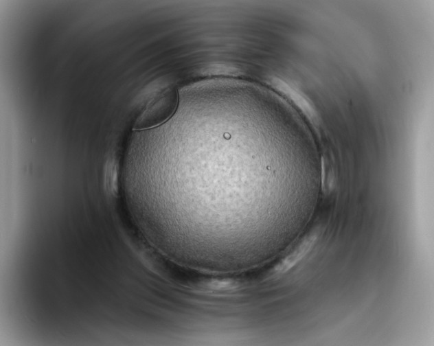 X0000094200157200711091225