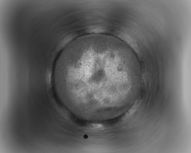 X0000094200159200711091225