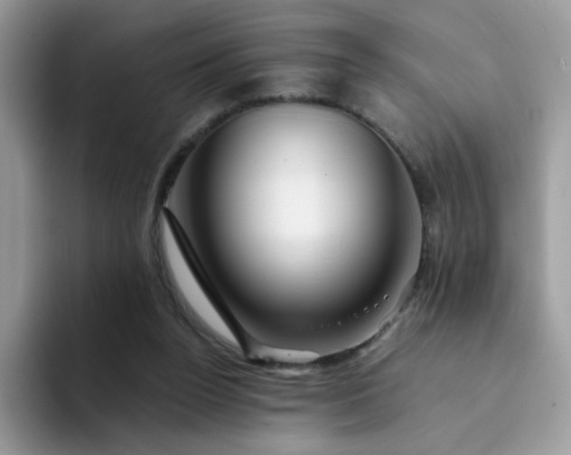 X0000094200160200711091225