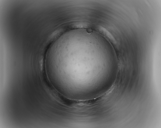 X0000094200163200711091226