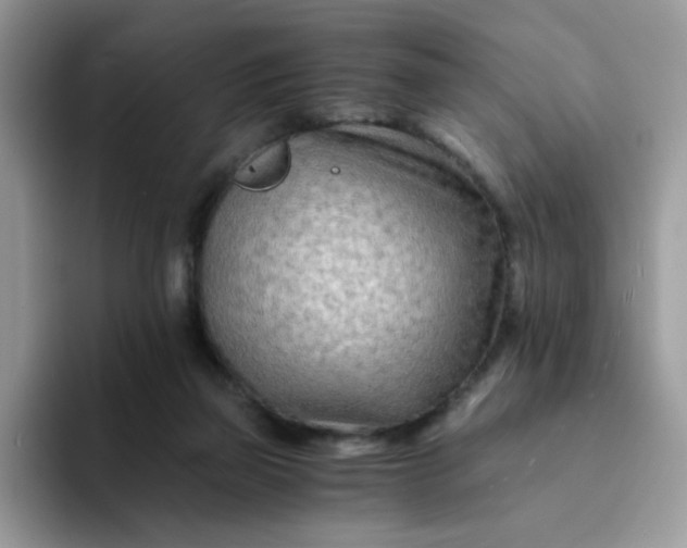 X0000094200165200711091226