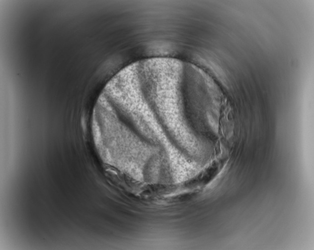 X0000094200166200711091226