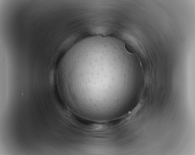 X0000094200167200711091226