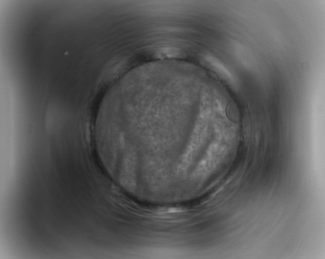 X0000094200169200711091226