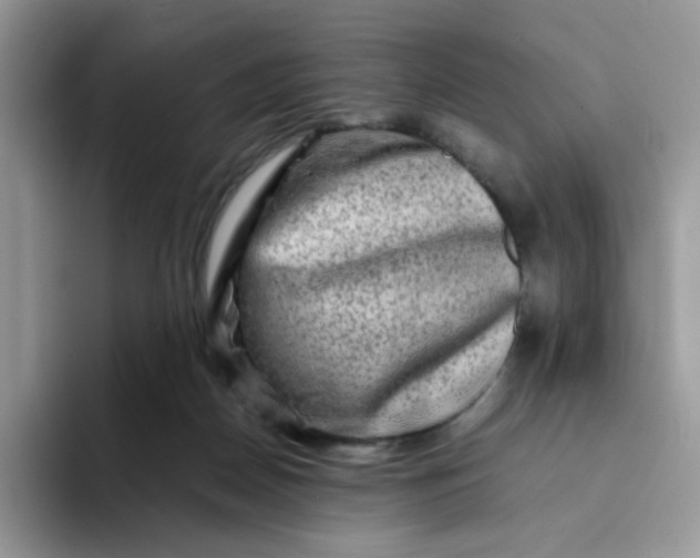 X0000094200170200711091226