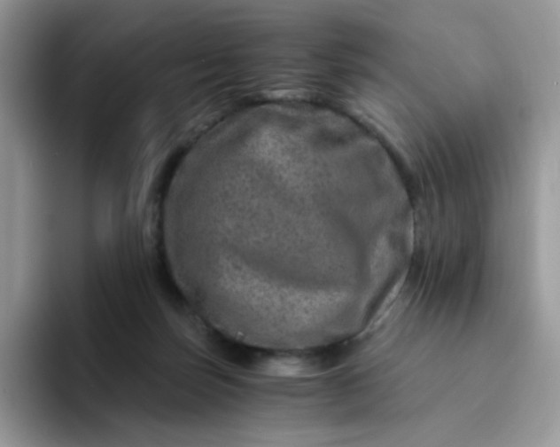 X0000094200171200711091226