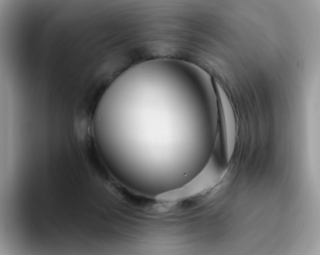 X0000094200172200711091226