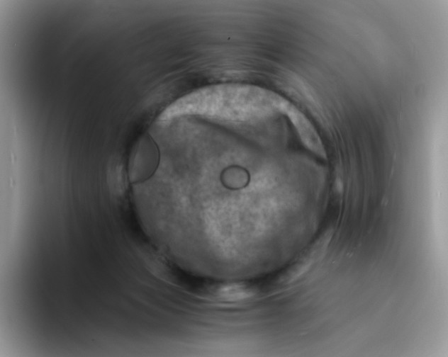 X0000094200173200711091226