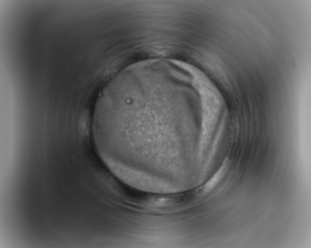 X0000094200174200711091226